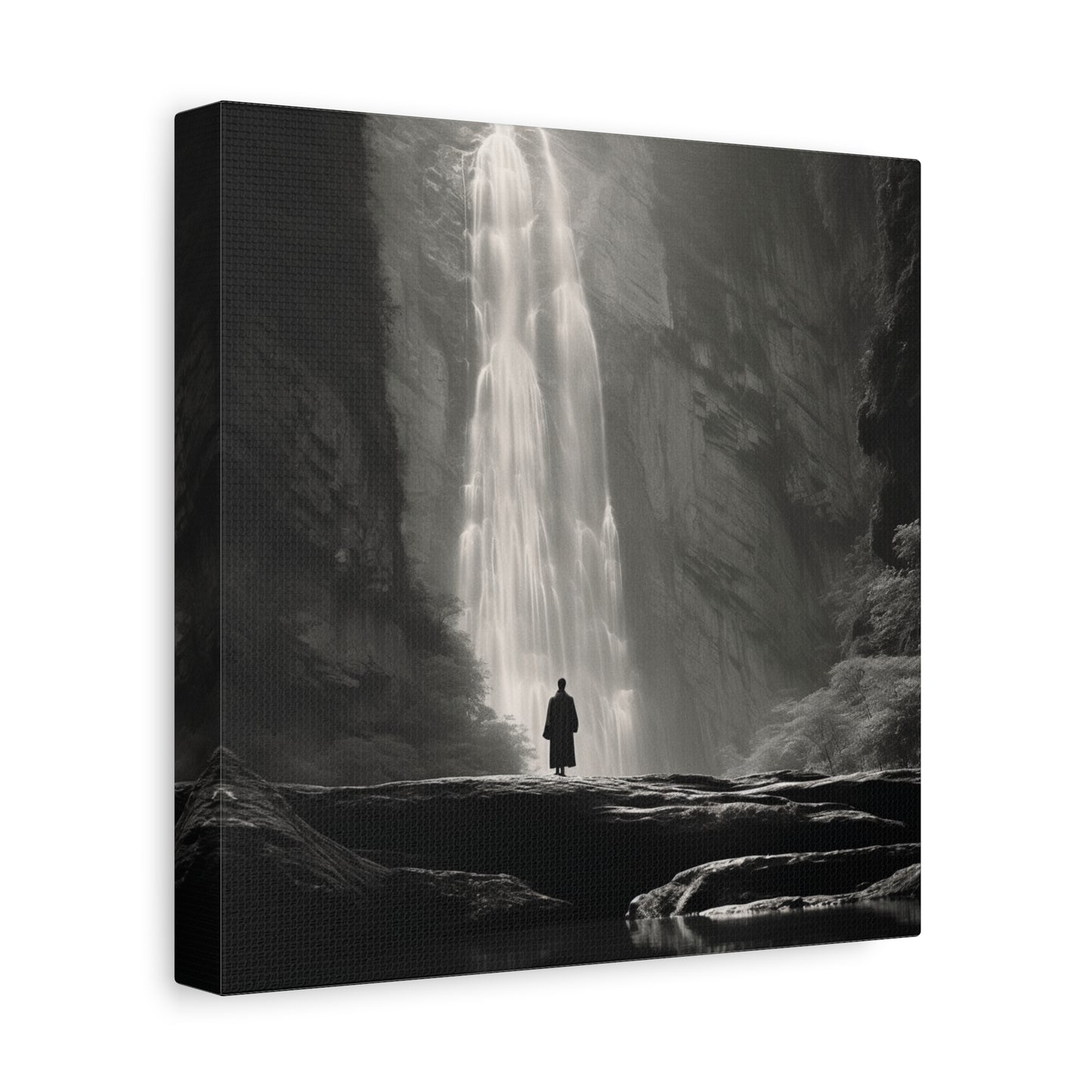 The Silent Fall Canvas Print