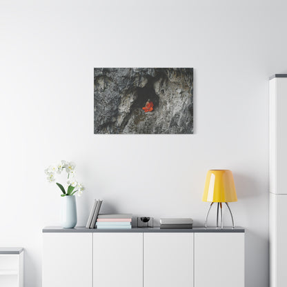 The Balance Within Canvas Print