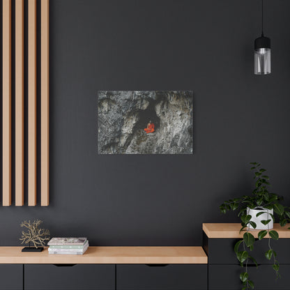 Solitude's Embrace Canvas Print