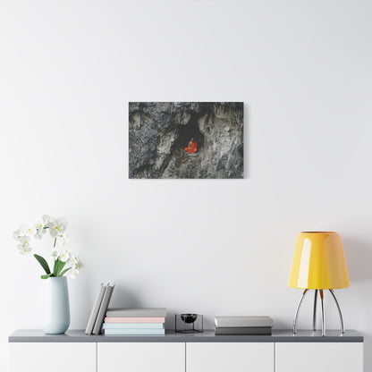 Solitude's Embrace Canvas Print