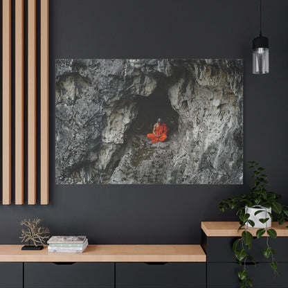 Solitude's Embrace Canvas Print