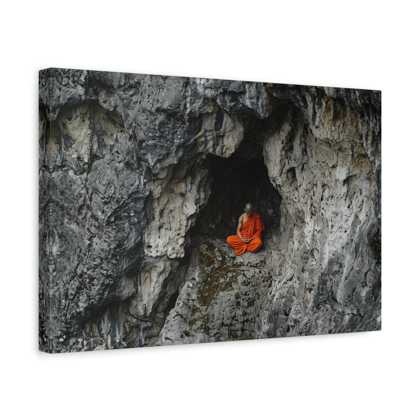 Solitude's Embrace Canvas Print