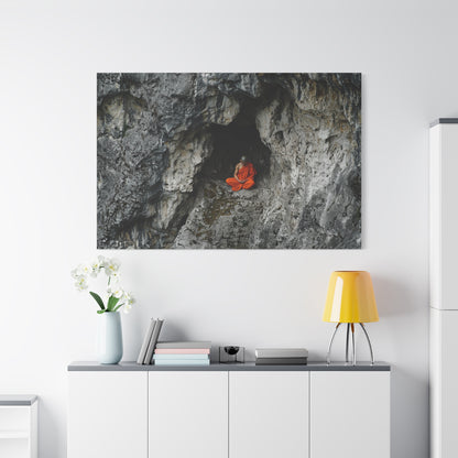 The Balance Within Canvas Print