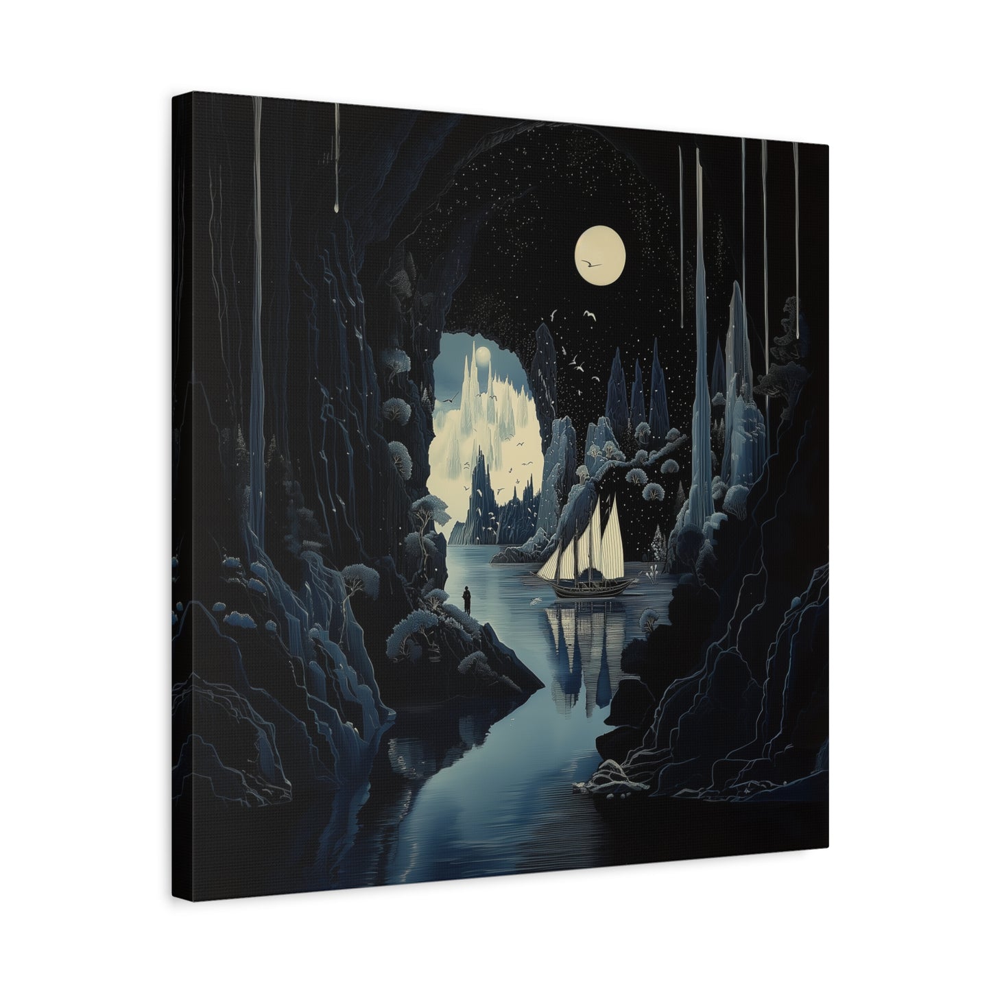 Night's Veil Canvas Print