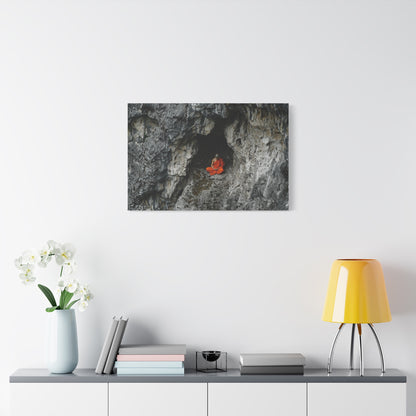 Solitude's Embrace Canvas Print